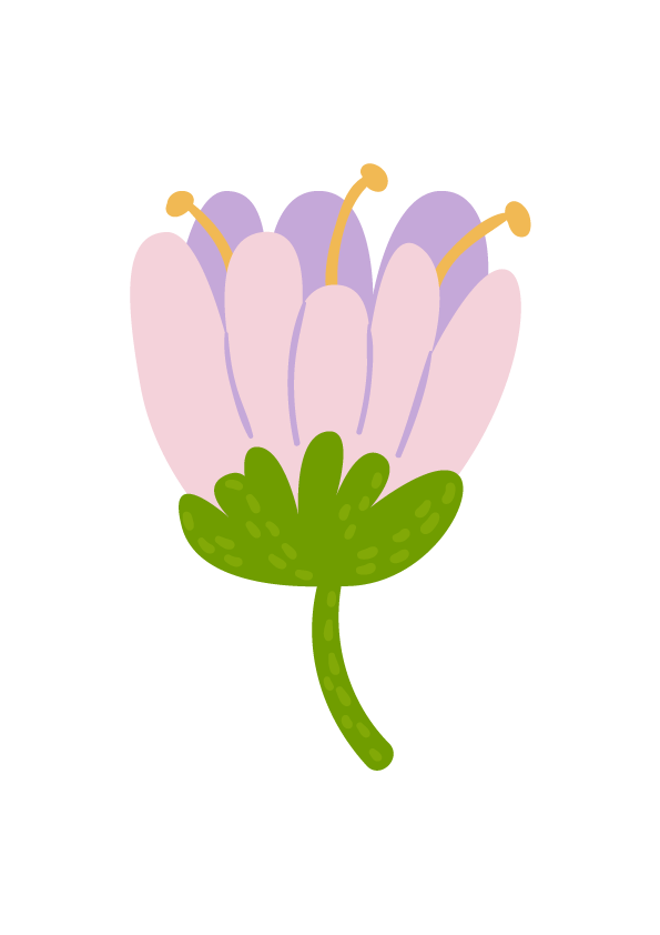 Blume Blüte lila